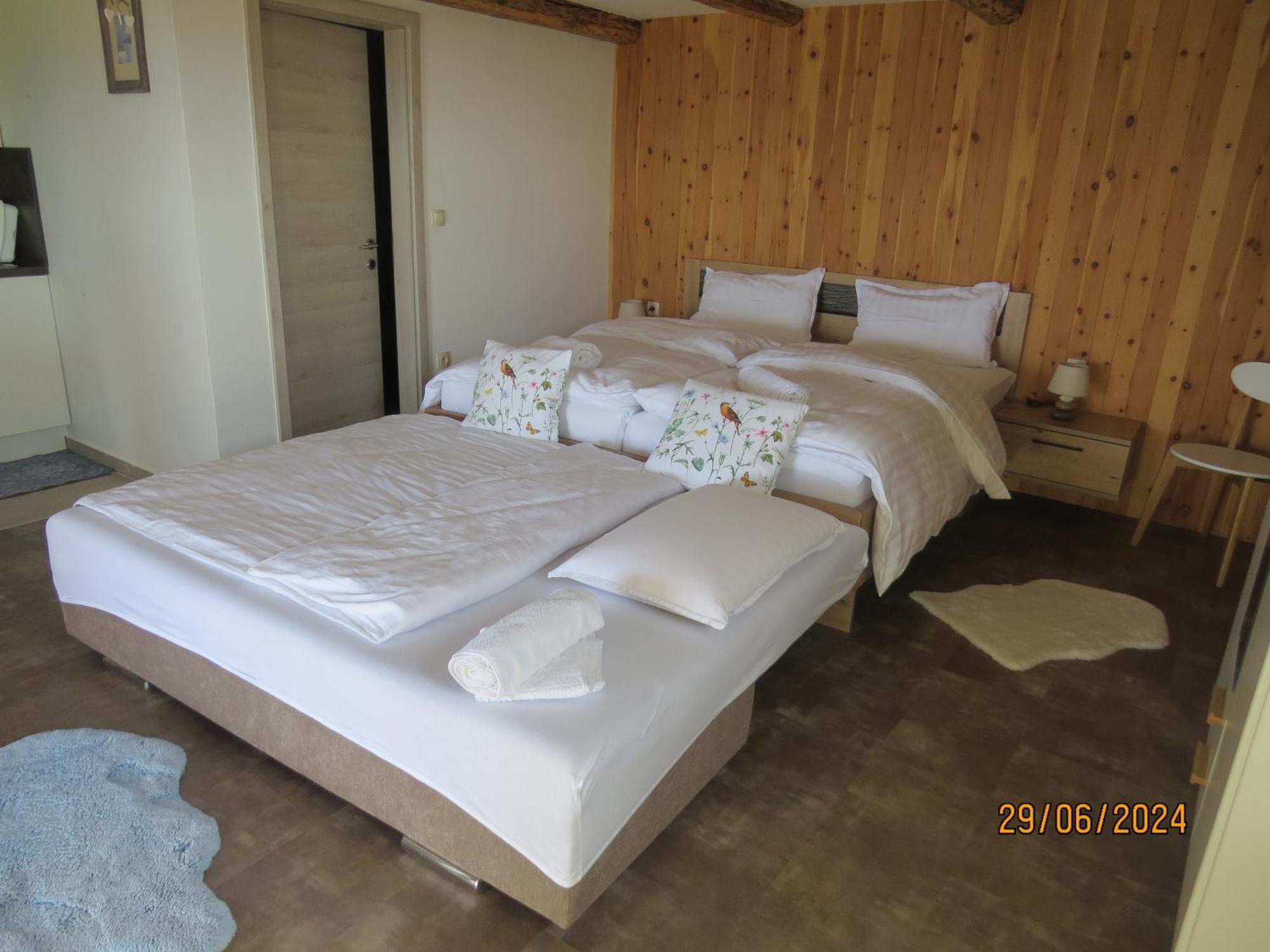 Studio 1111 With Sauna & Hot Tub Dravograd Exterior foto
